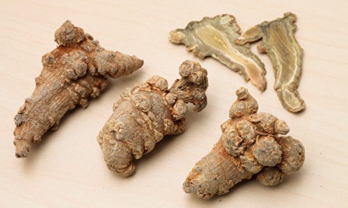 权威博美身上快掉毛红点是起的是什么东西平台,分享专业博美脸上掉毛红红的正常吗知识_博美脸上掉毛红红的网